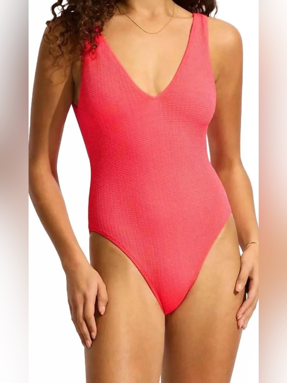 NWT Seafolly SeaDive Deep V Neck One Piece